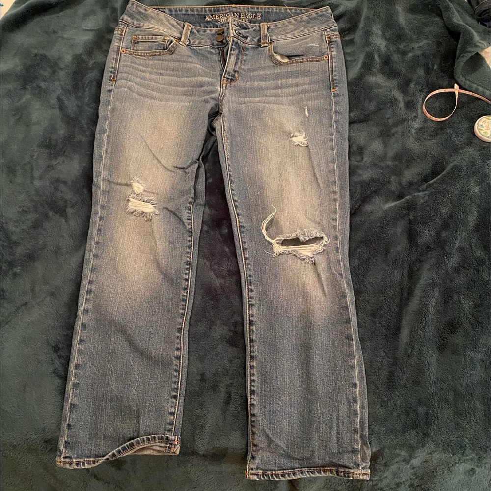 American Eagle Artist Crop Jeans